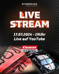 Carrera Hybrid Stream.jpg